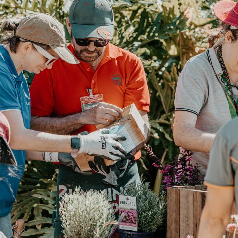 Connections Café Nambour Garden Makeover thanks to Bunnings Maroochydore!